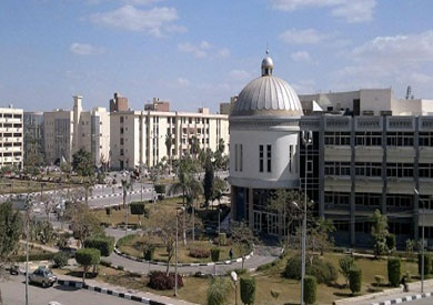جامعة الفيوم ارشيفية